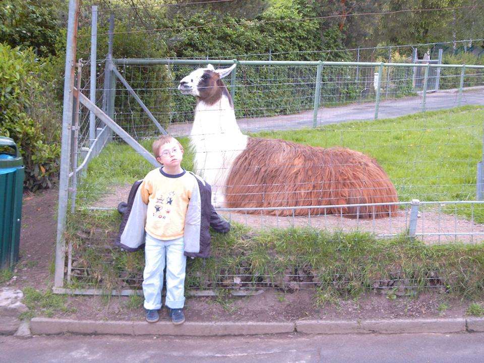 Ein Ausflug in den Zoo:
 ein großes Lama direkt am Zaun erweckte so viel Interesse, dass sogar dieses Foto möglich wurde